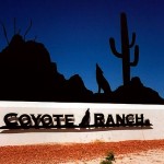 Homes For Sale in Coyote Ranch of Casa Grande, AZ