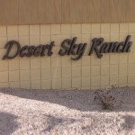 Homes for sale in Desert Sky Ranch in Casa Grande, AZ
